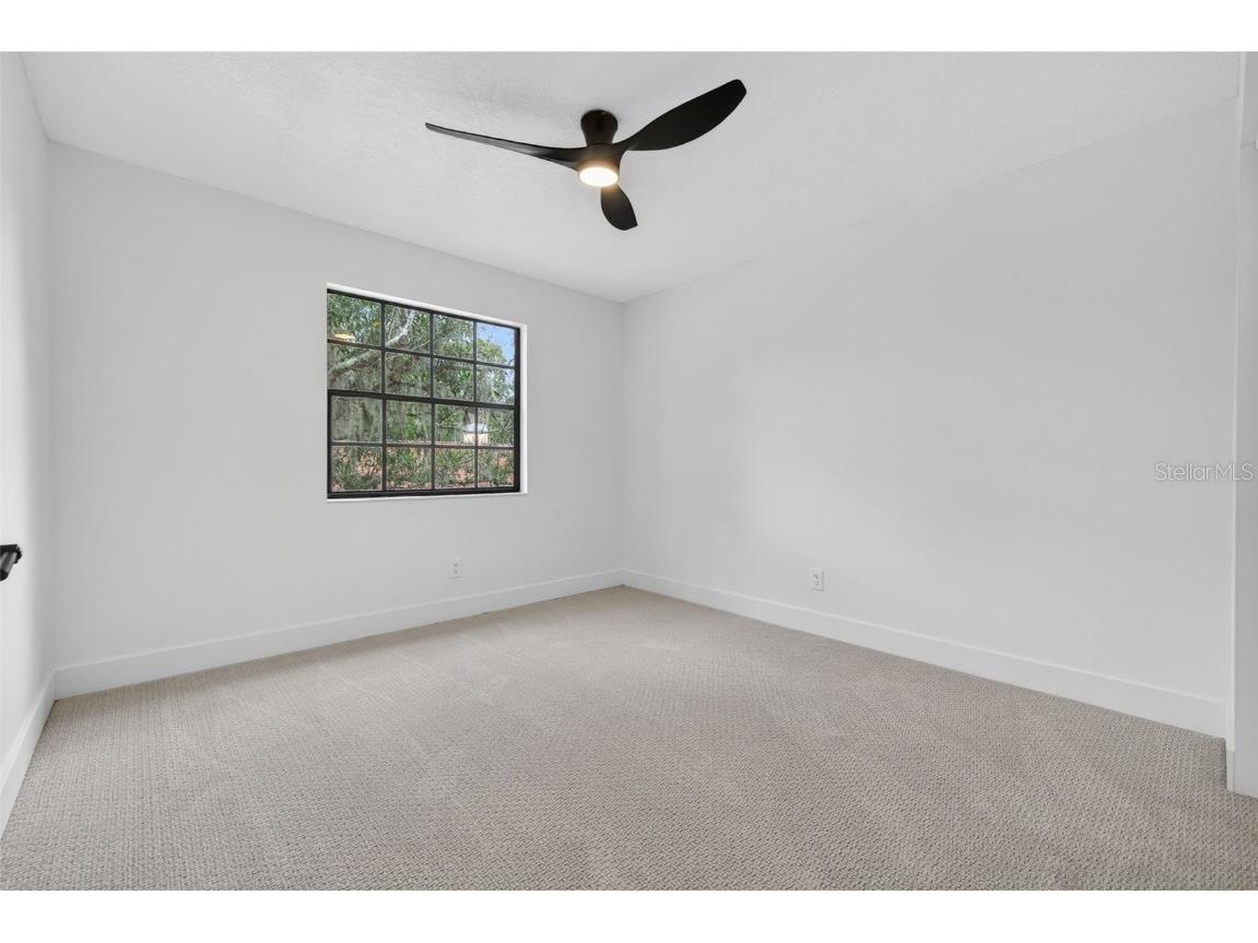 3956 Belmoor Drive Palm Harbor FL 34685 TB8424607 image57