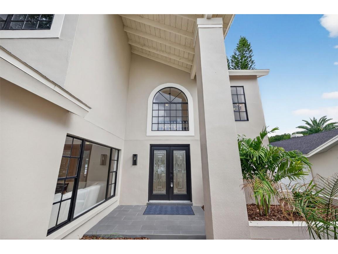 3956 Belmoor Drive Palm Harbor FL 34685 TB8424607 image6