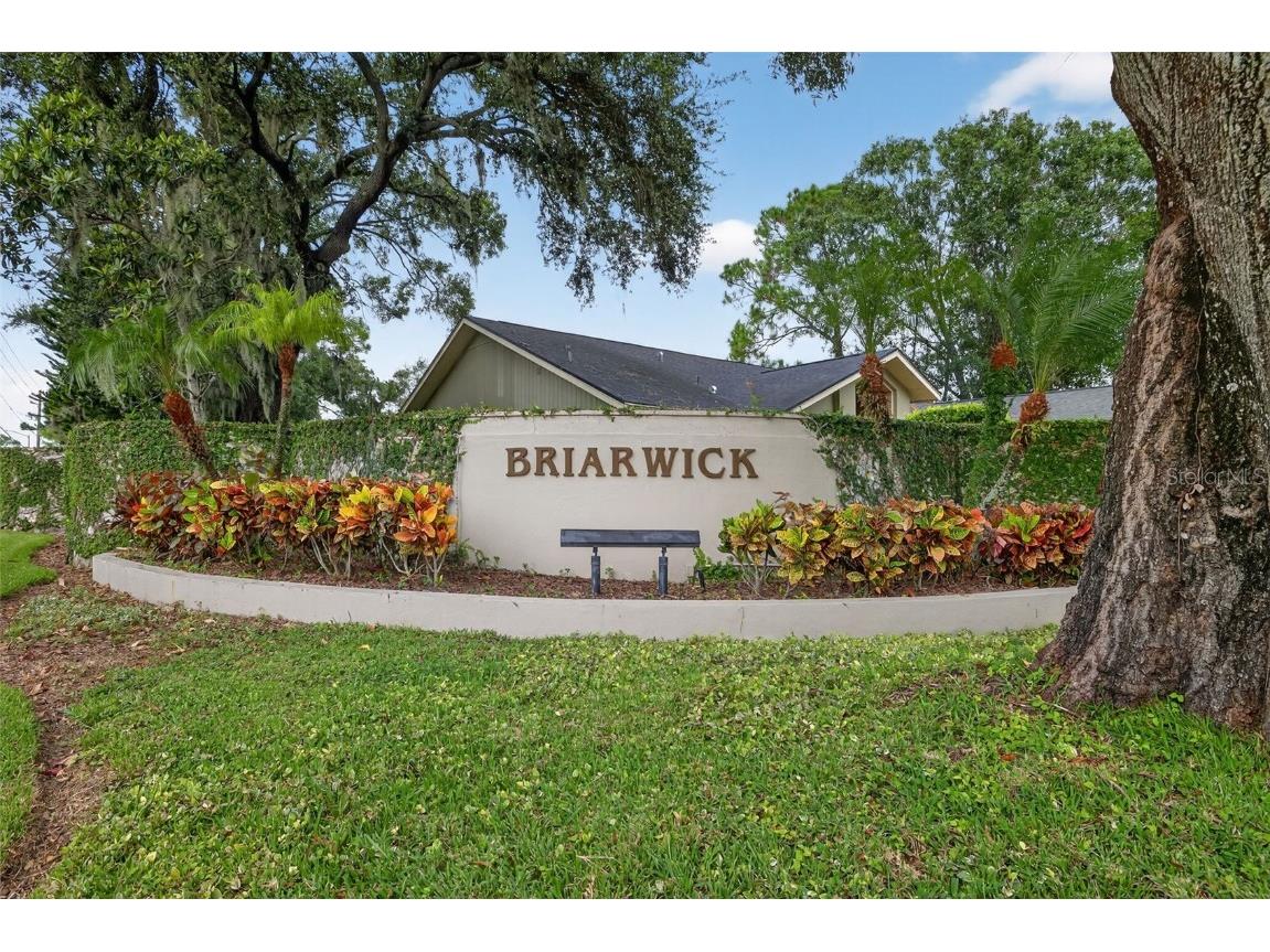 3956 Belmoor Drive Palm Harbor FL 34685 TB8424607 image65