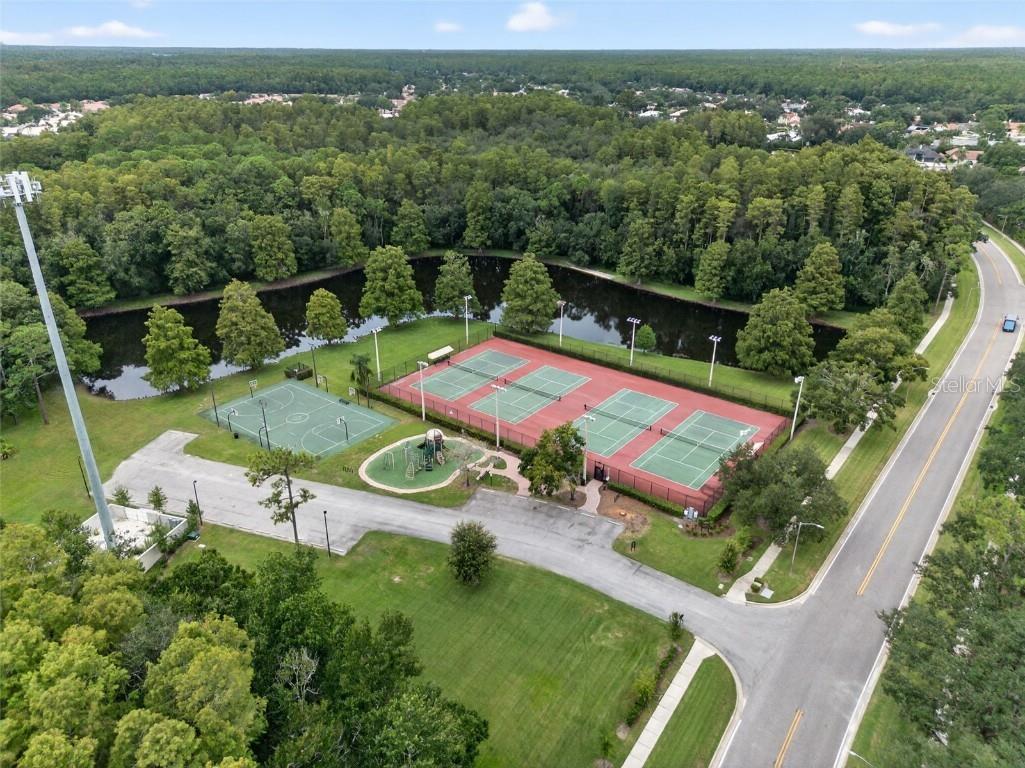 3956 Belmoor Drive Palm Harbor FL 34685 TB8424607 image66