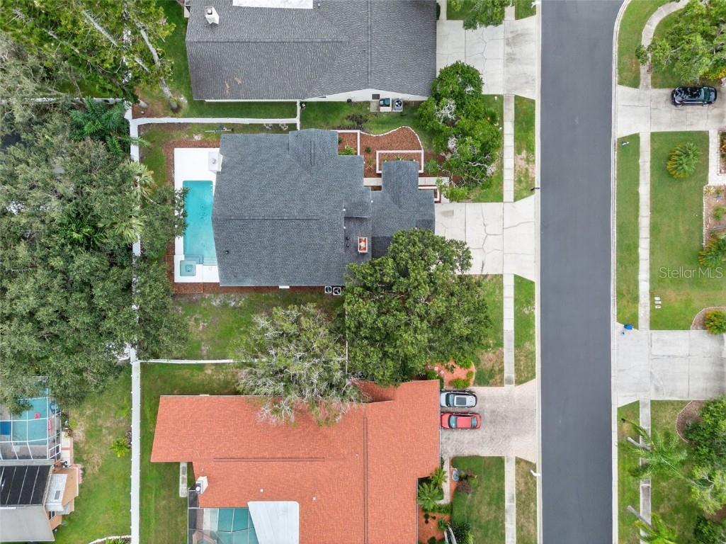 3956 Belmoor Drive Palm Harbor FL 34685 TB8424607 image67