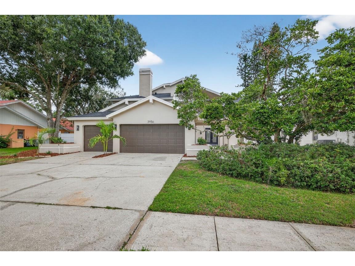 3956 Belmoor Drive Palm Harbor FL 34685 TB8424607 image73