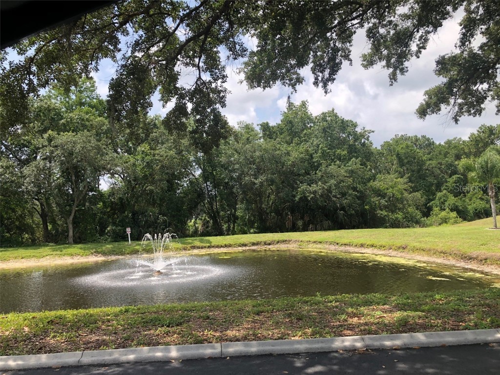 3956 Elvira Court New Port Richey FL 34655 TB8442182 image19