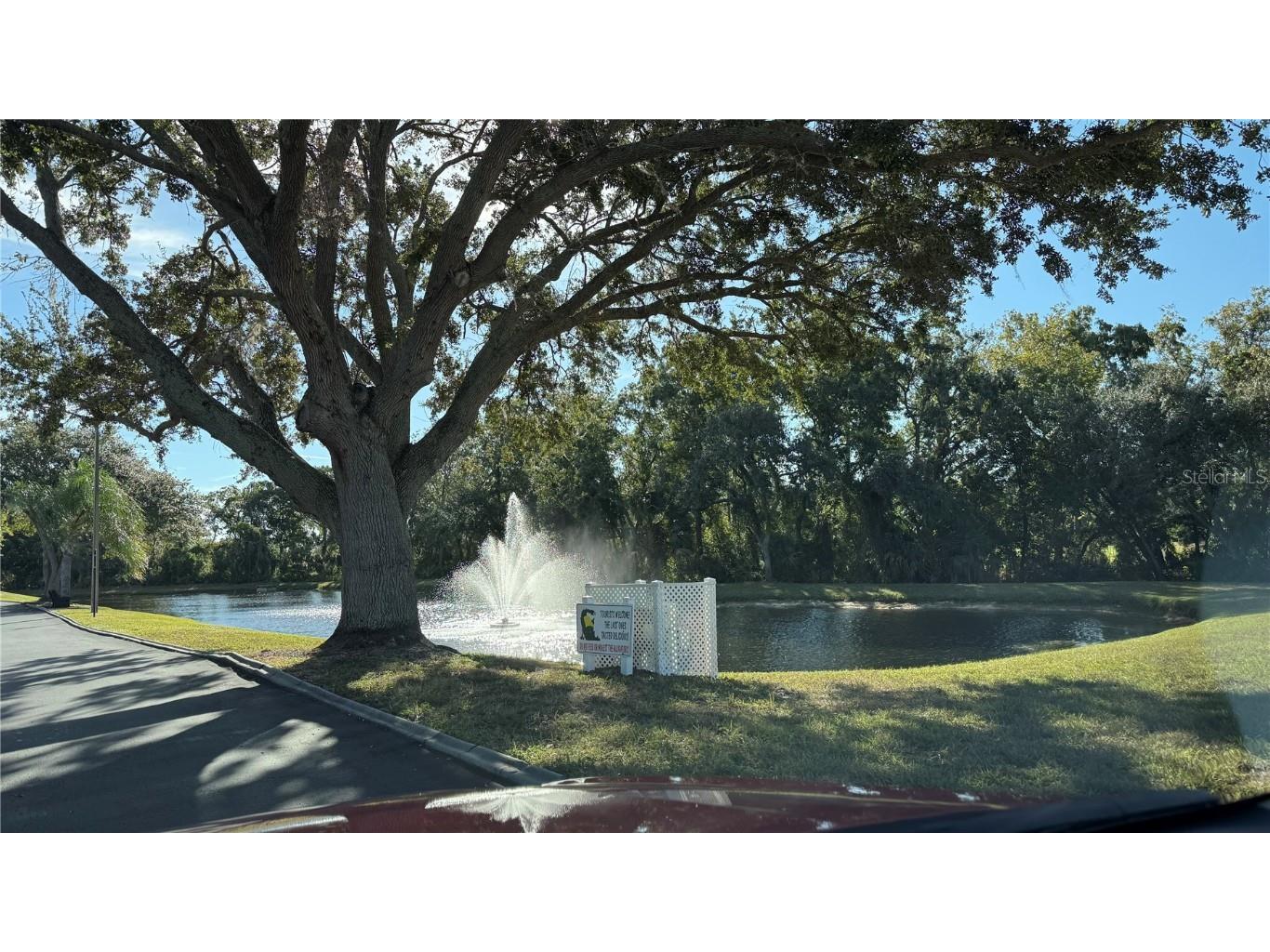 3956 Elvira Court New Port Richey FL 34655 TB8442182 image20