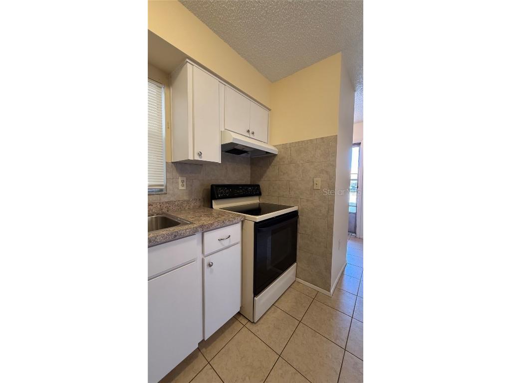 3956 Elvira Court New Port Richey FL 34655 TB8442182 image6