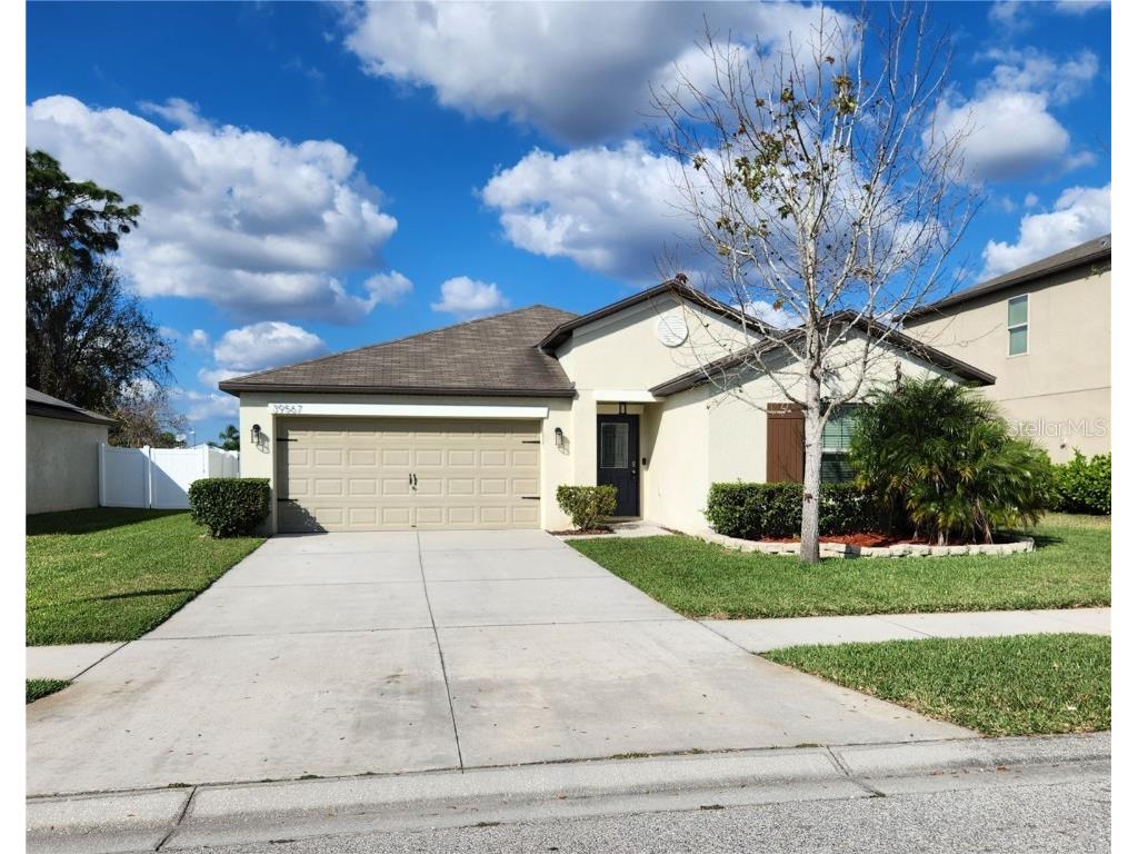 39567 Dawson Chase Drive Zephyrhills FL 33540 O6277747 image1