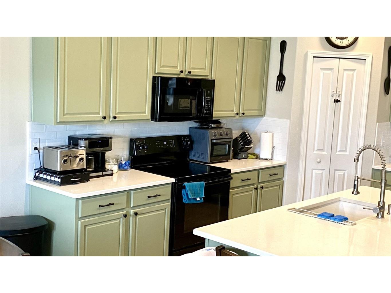 39567 Dawson Chase Drive Zephyrhills FL 33540 O6277747 image13