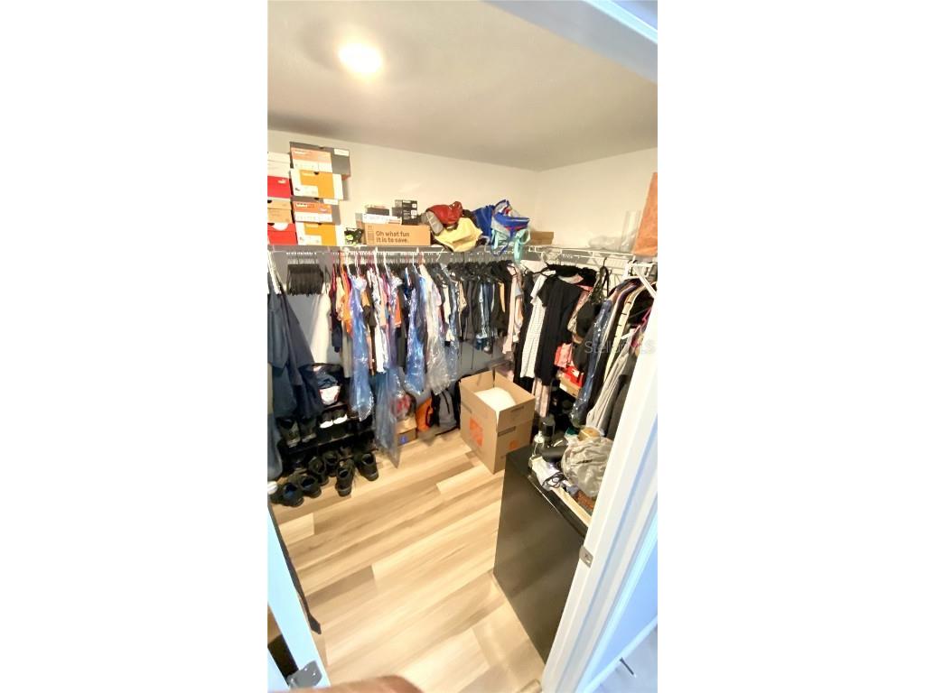 39567 Dawson Chase Drive Zephyrhills FL 33540 O6277747 image30