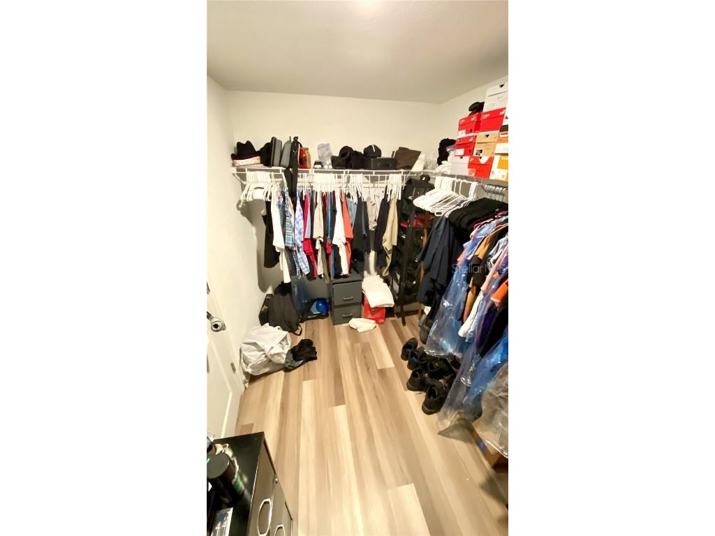 39567 Dawson Chase Drive Zephyrhills FL 33540 O6277747 image31