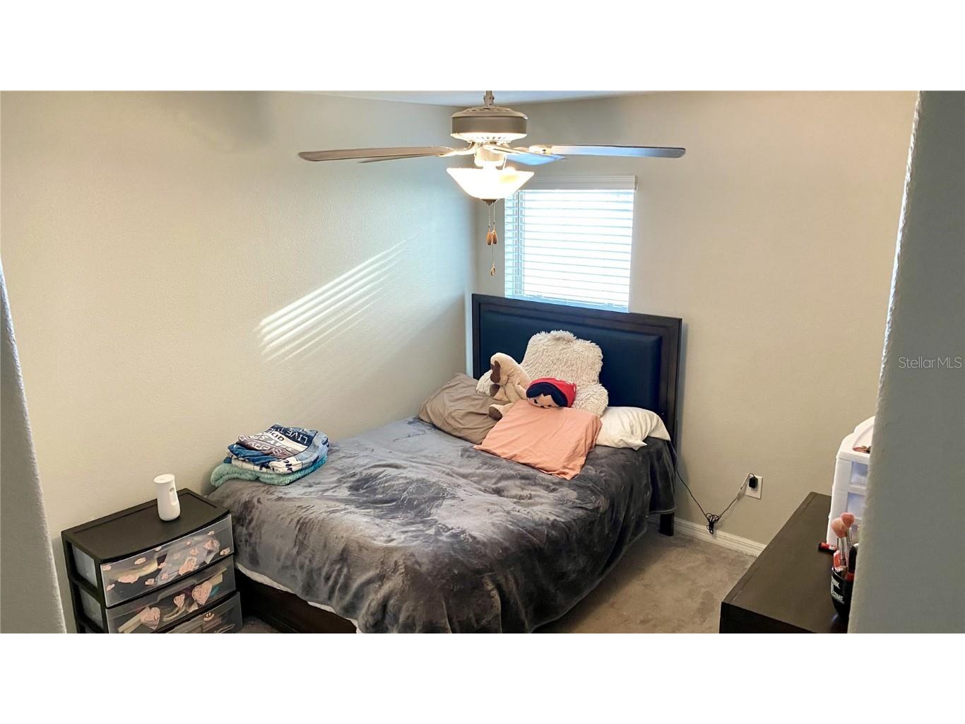 39567 Dawson Chase Drive Zephyrhills FL 33540 O6277747 image43