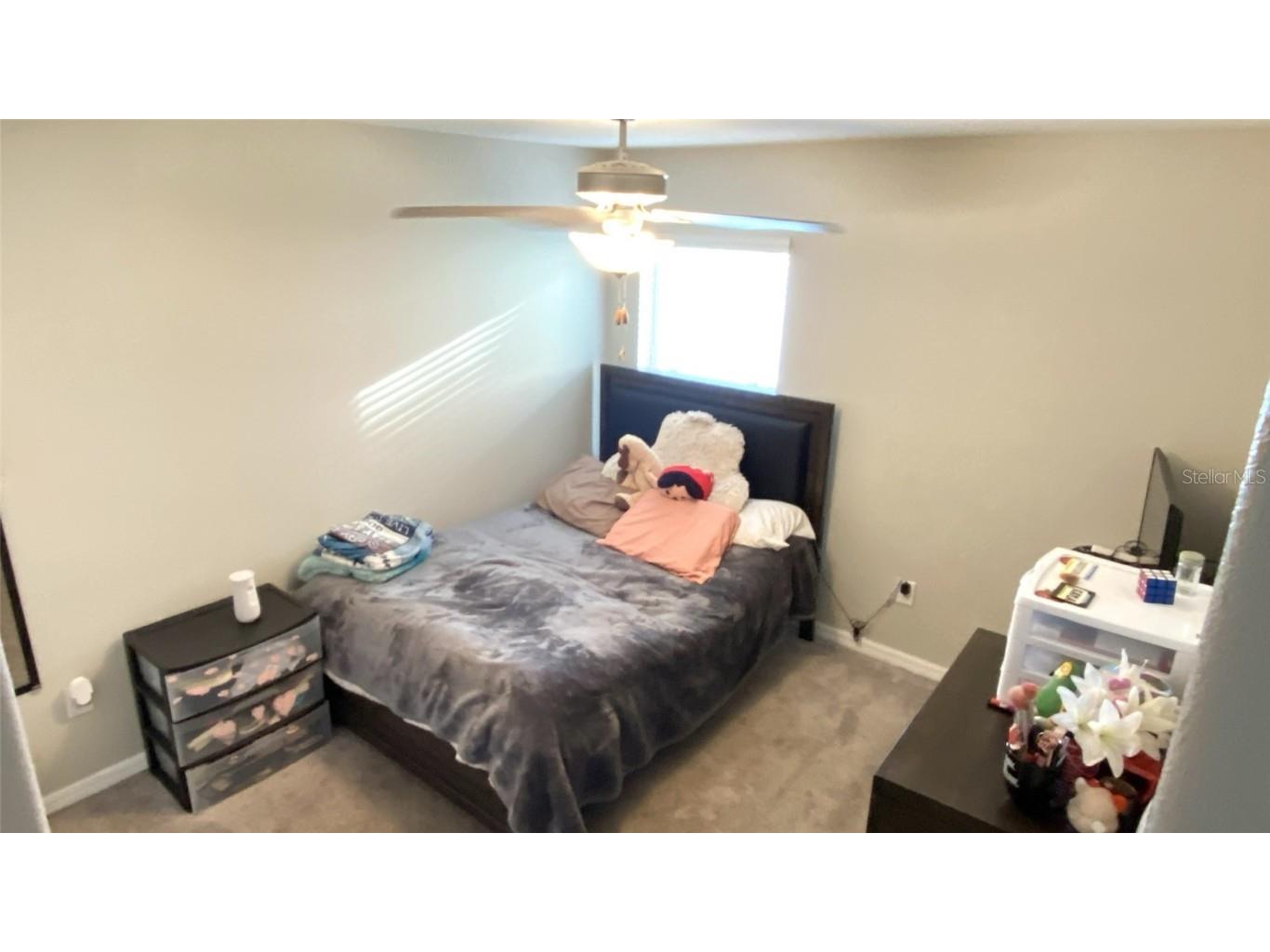 39567 Dawson Chase Drive Zephyrhills FL 33540 O6277747 image44