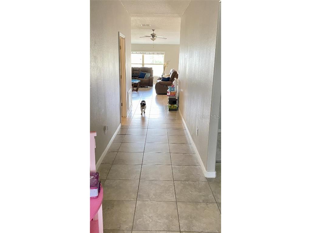 39567 Dawson Chase Drive Zephyrhills FL 33540 O6277747 image5