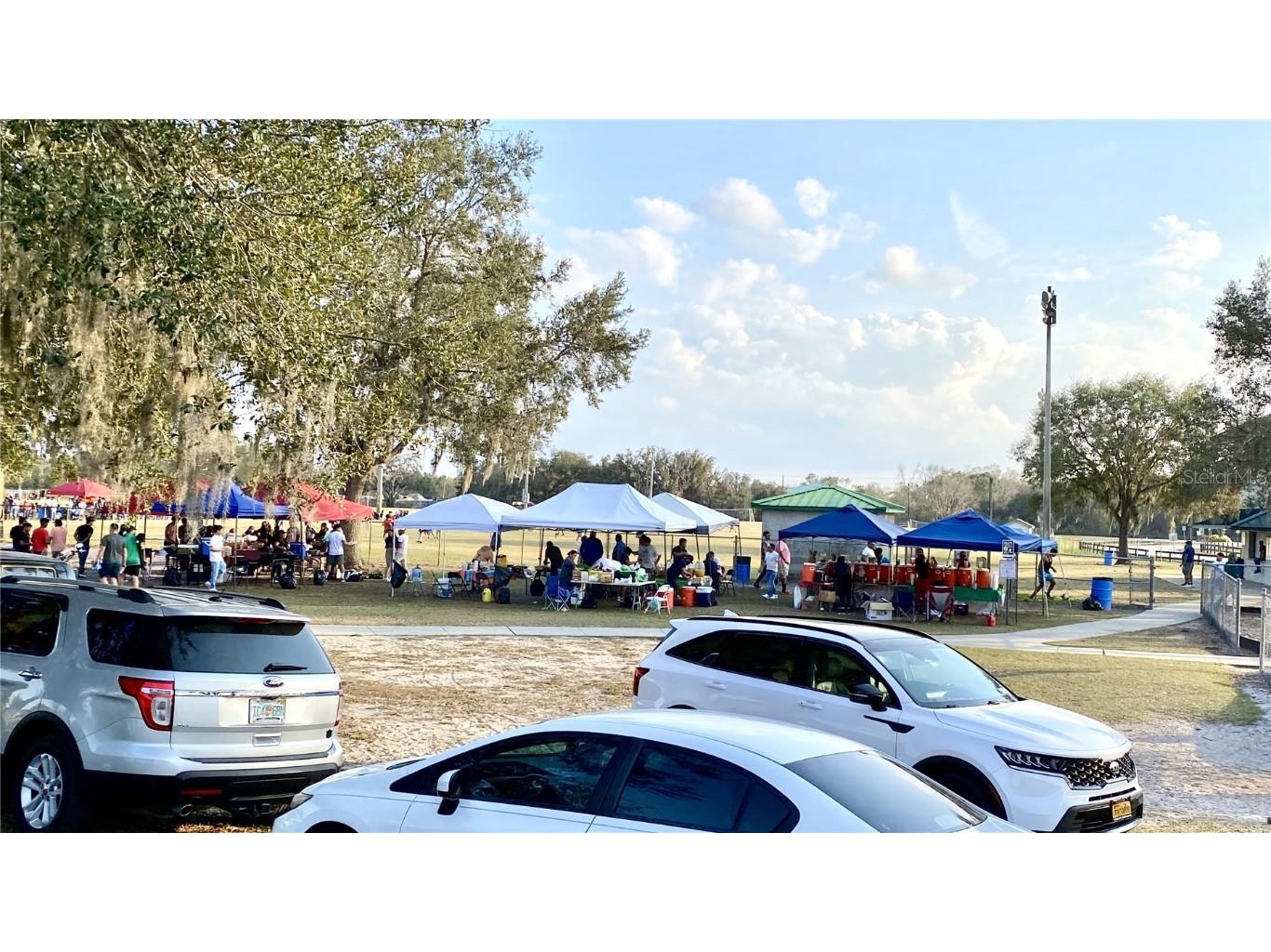 39567 Dawson Chase Drive Zephyrhills FL 33540 O6277747 image54