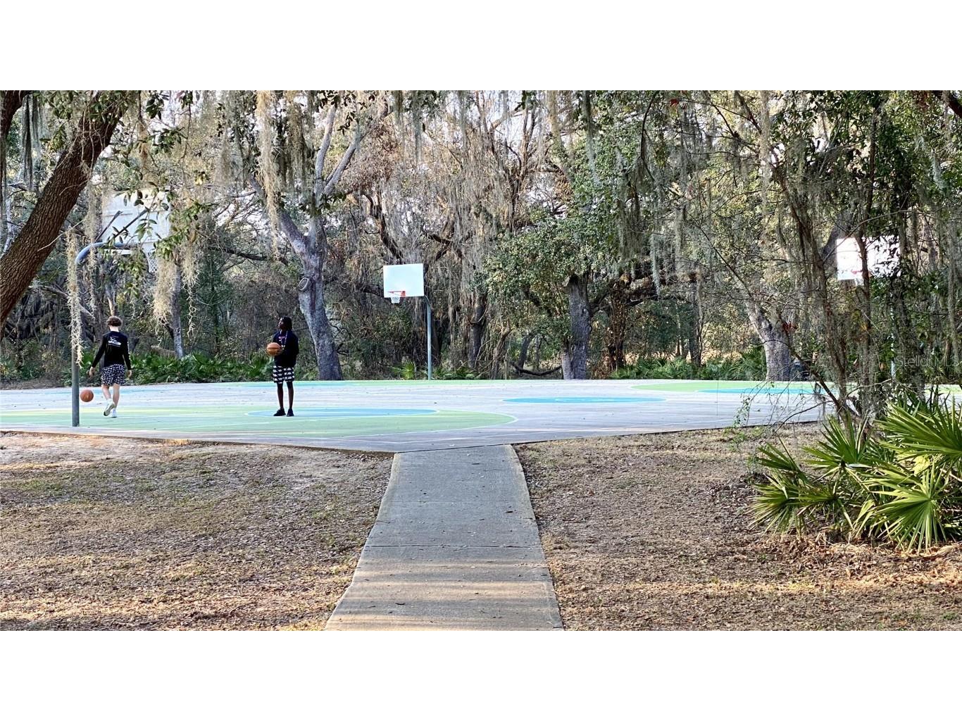 39567 Dawson Chase Drive Zephyrhills FL 33540 O6277747 image57