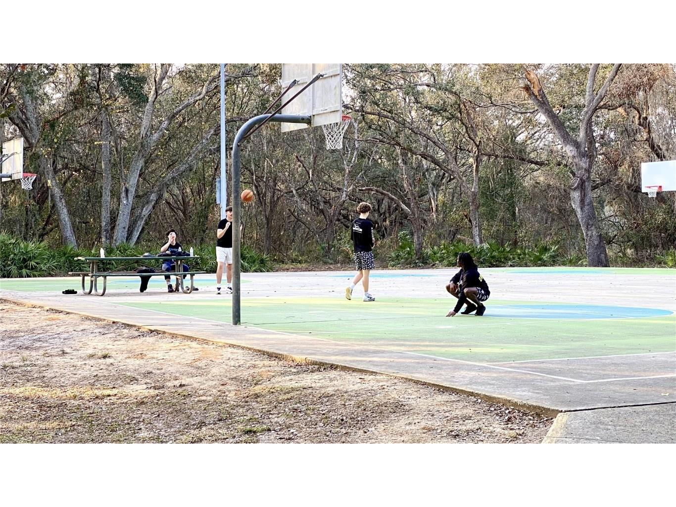 39567 Dawson Chase Drive Zephyrhills FL 33540 O6277747 image58