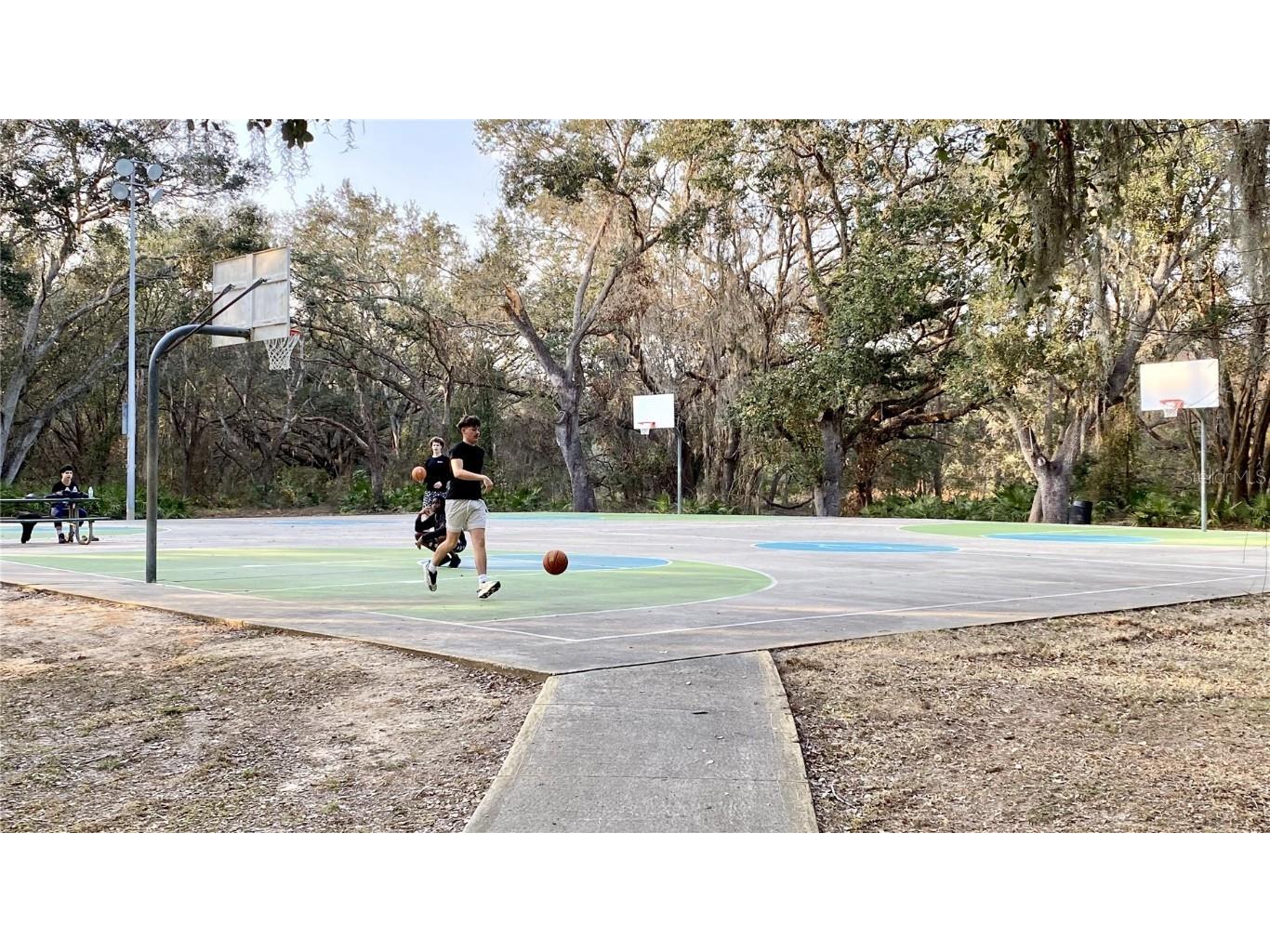 39567 Dawson Chase Drive Zephyrhills FL 33540 O6277747 image59