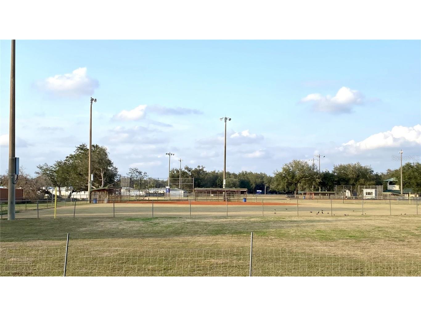 39567 Dawson Chase Drive Zephyrhills FL 33540 O6277747 image65