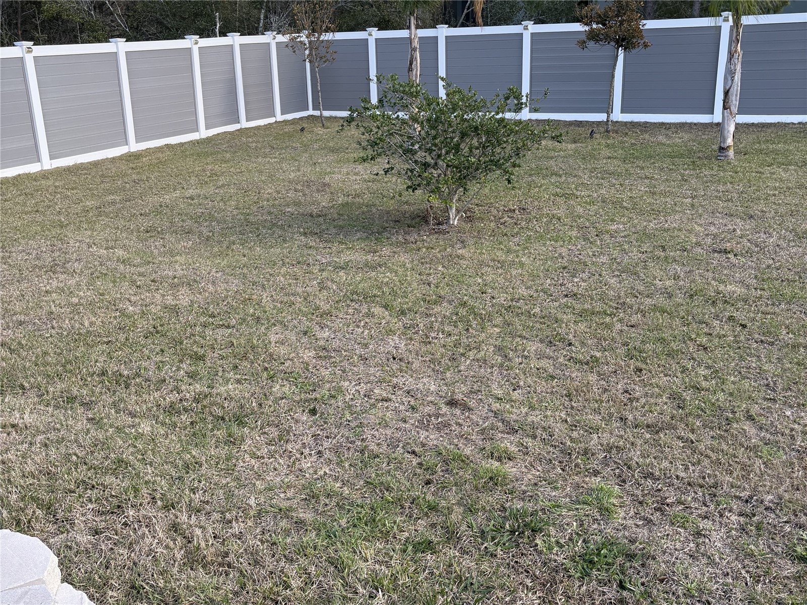 3957 SW 113th Place Ocala FL 34476 OM718466 image38