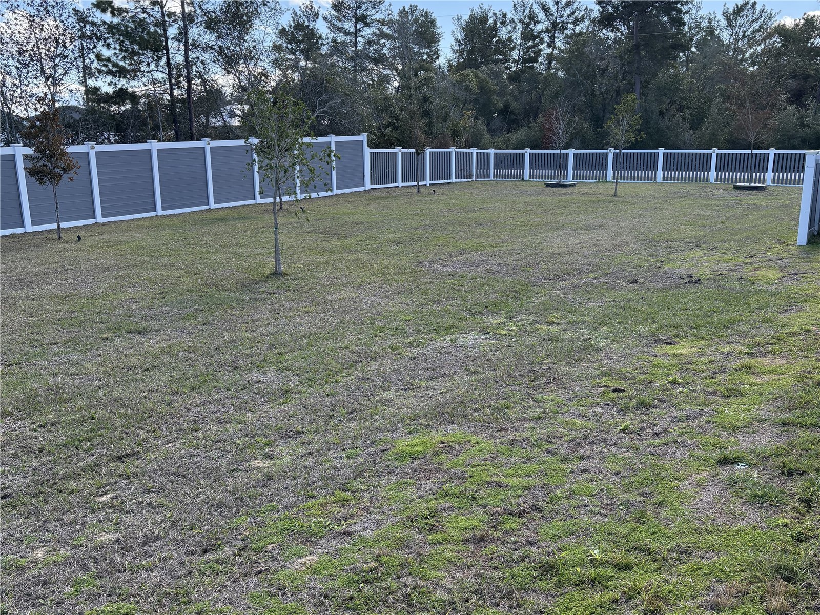 3957 SW 113th Place Ocala FL 34476 OM718466 image39