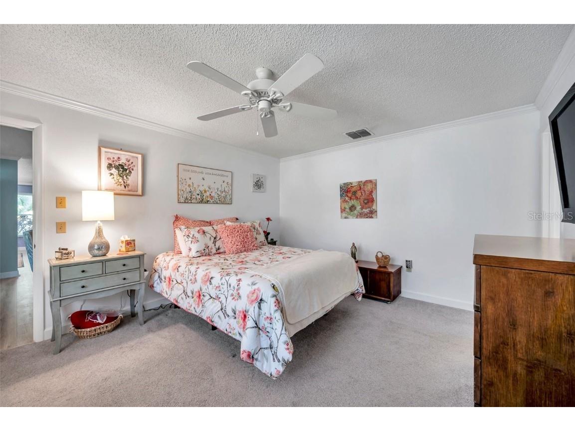 3957 Tarpon Pointe Circle Palm Harbor FL 34684 TB8430711 image28