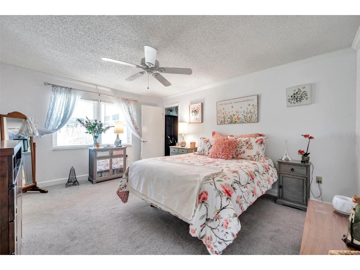 3957 Tarpon Pointe Circle Palm Harbor FL 34684 TB8430711 image29