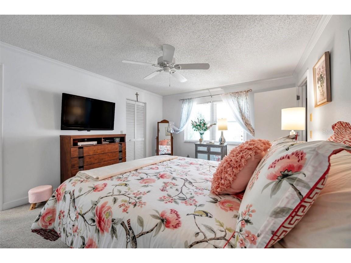 3957 Tarpon Pointe Circle Palm Harbor FL 34684 TB8430711 image30