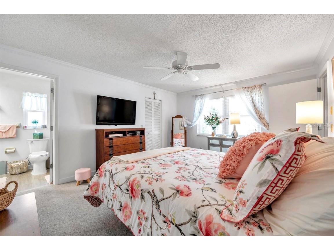 3957 Tarpon Pointe Circle Palm Harbor FL 34684 TB8430711 image31