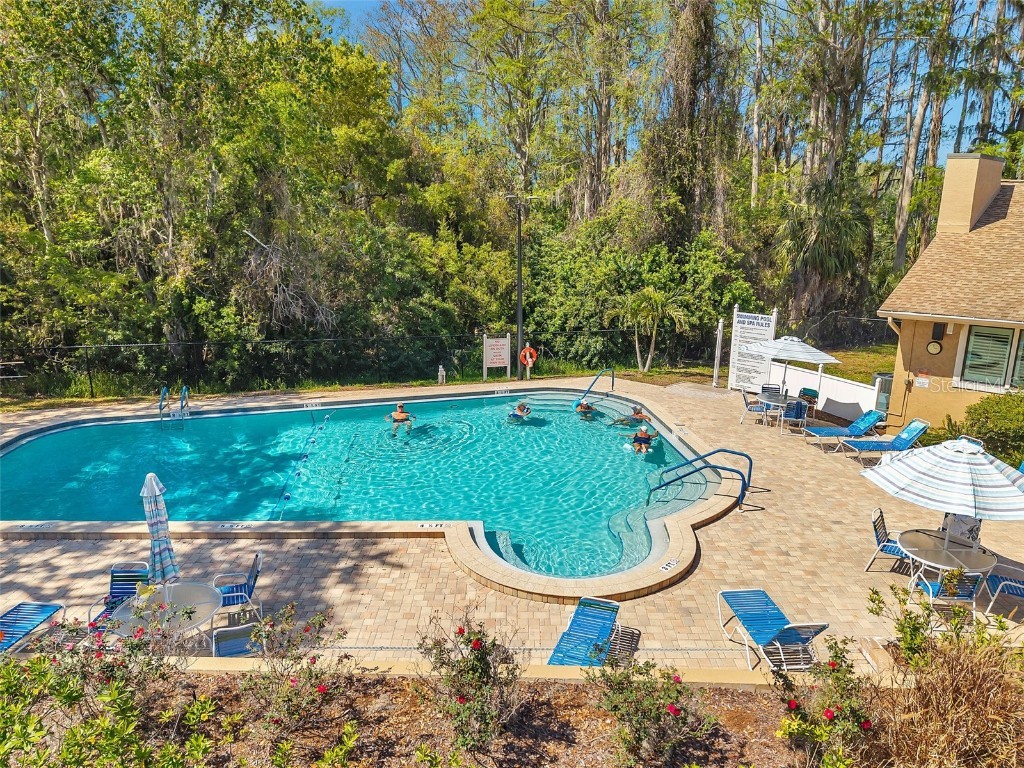 3957 Tarpon Pointe Circle Palm Harbor FL 34684 TB8430711 image44