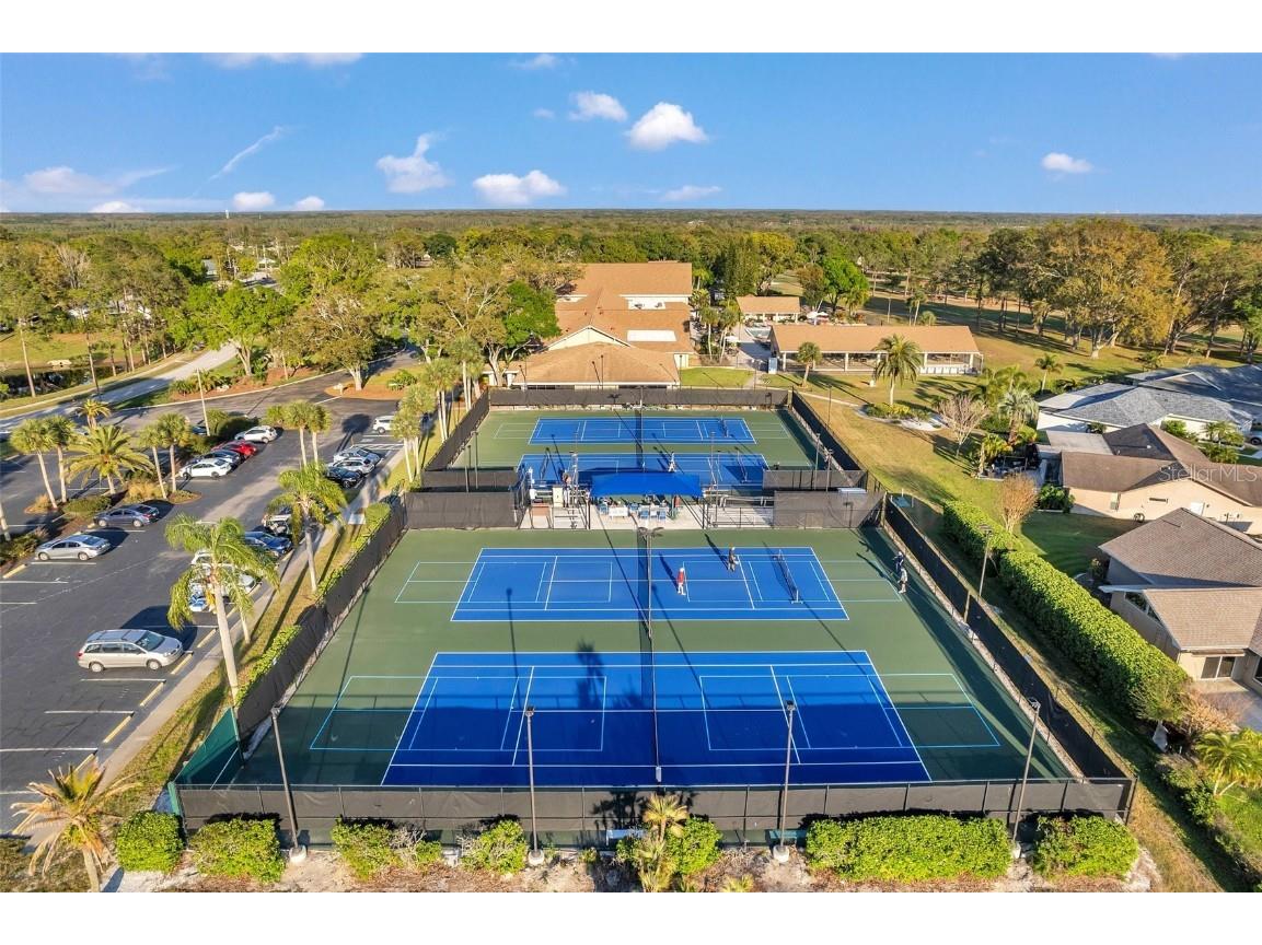 3957 Tarpon Pointe Circle Palm Harbor FL 34684 TB8430711 image48