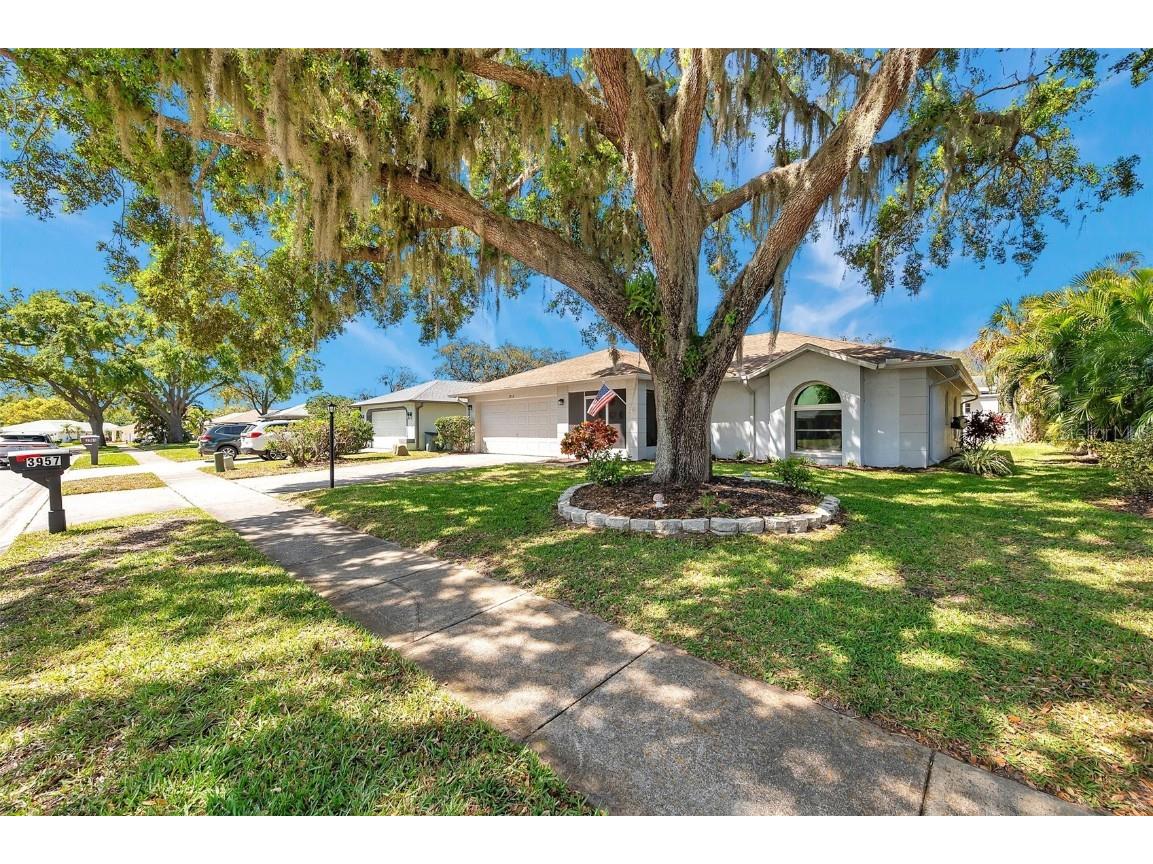 3957 Tarpon Pointe Circle Palm Harbor FL 34684 TB8430711 image56