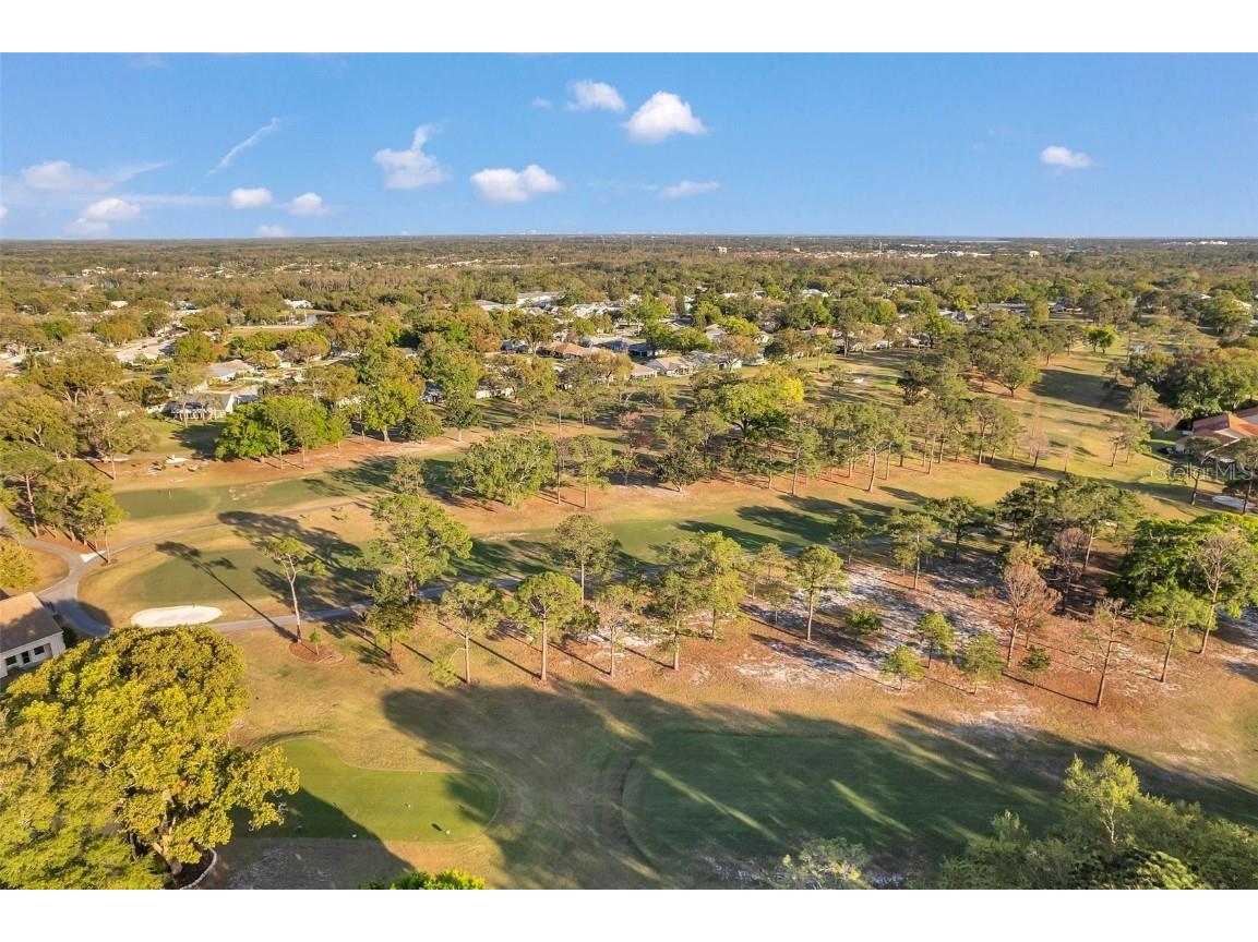 3957 Tarpon Pointe Circle Palm Harbor FL 34684 TB8430711 image61