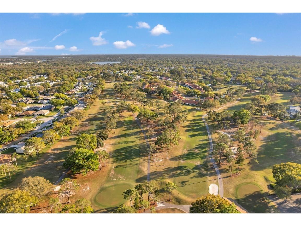 3957 Tarpon Pointe Circle Palm Harbor FL 34684 TB8430711 image62