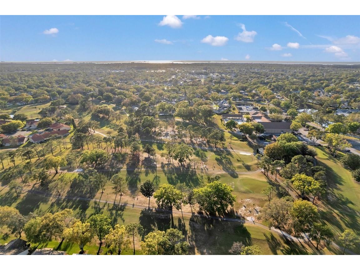 3957 Tarpon Pointe Circle Palm Harbor FL 34684 TB8430711 image63