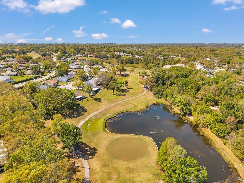 3957 Tarpon Pointe Circle Palm Harbor FL 34684 TB8430711 image69