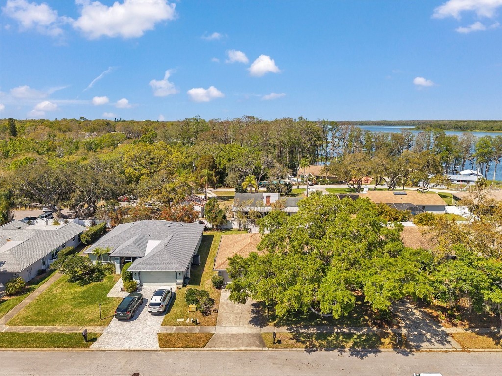 3957 Tarpon Pointe Circle Palm Harbor FL 34684 TB8430711 image71