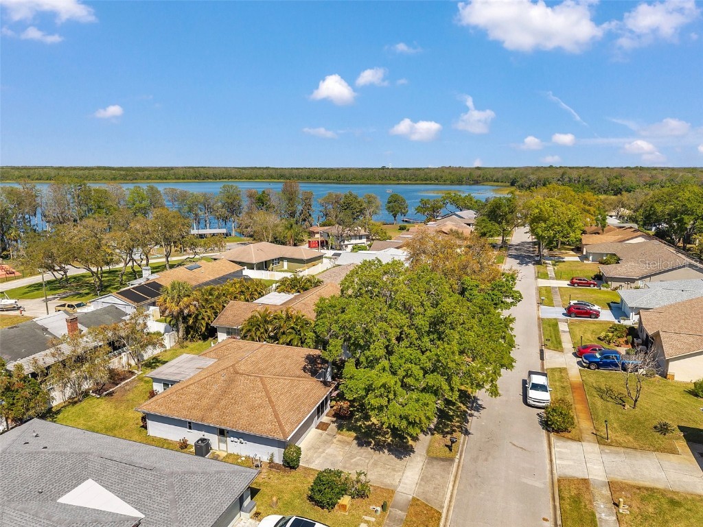 3957 Tarpon Pointe Circle Palm Harbor FL 34684 TB8430711 image72
