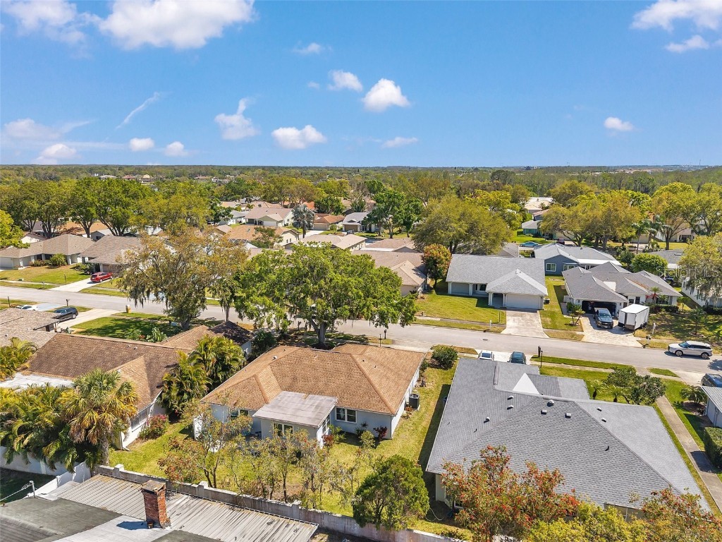 3957 Tarpon Pointe Circle Palm Harbor FL 34684 TB8430711 image74