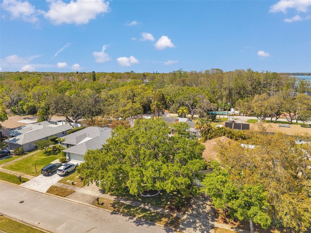 3957 Tarpon Pointe Circle Palm Harbor FL 34684 TB8430711 image78