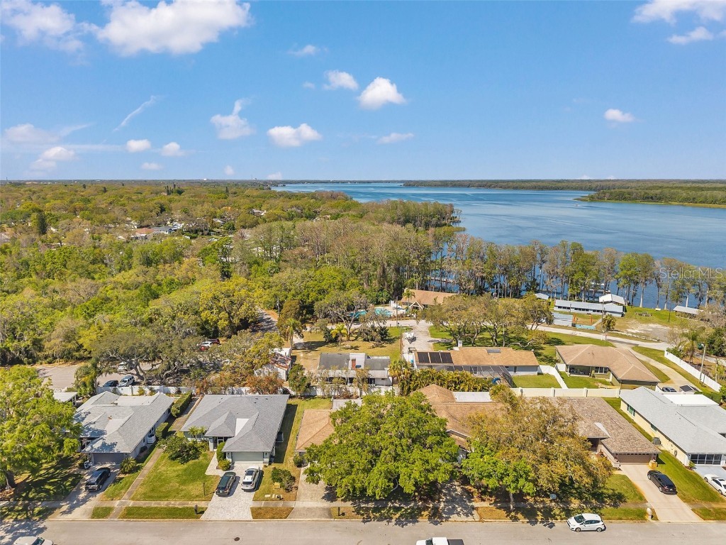 3957 Tarpon Pointe Circle Palm Harbor FL 34684 TB8430711 image79