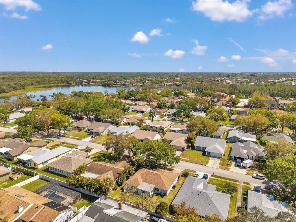 3957 Tarpon Pointe Circle Palm Harbor FL 34684 TB8430711 image82