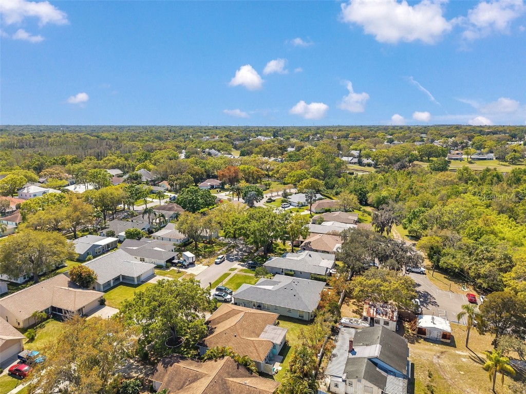 3957 Tarpon Pointe Circle Palm Harbor FL 34684 TB8430711 image84