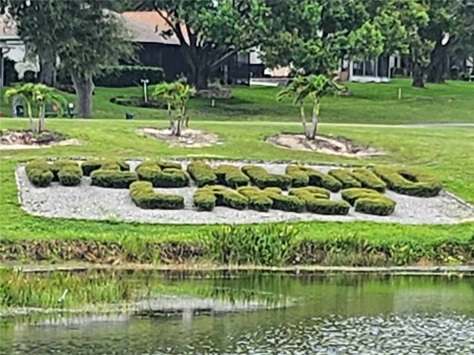 3957 Tarpon Pointe Circle Palm Harbor FL 34684 TB8482759 image24