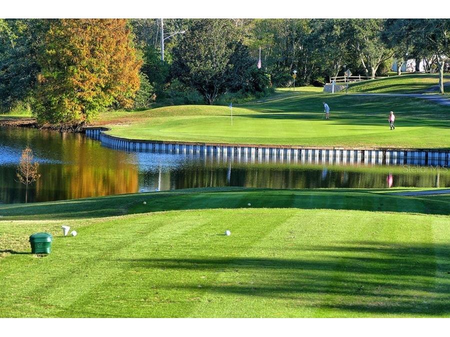 3957 Tarpon Pointe Circle Palm Harbor FL 34684 TB8482759 image25