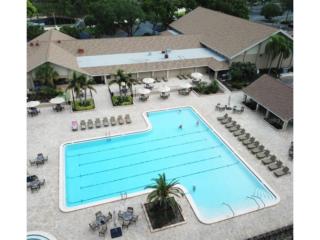 3957 Tarpon Pointe Circle Palm Harbor FL 34684 TB8482759 image27