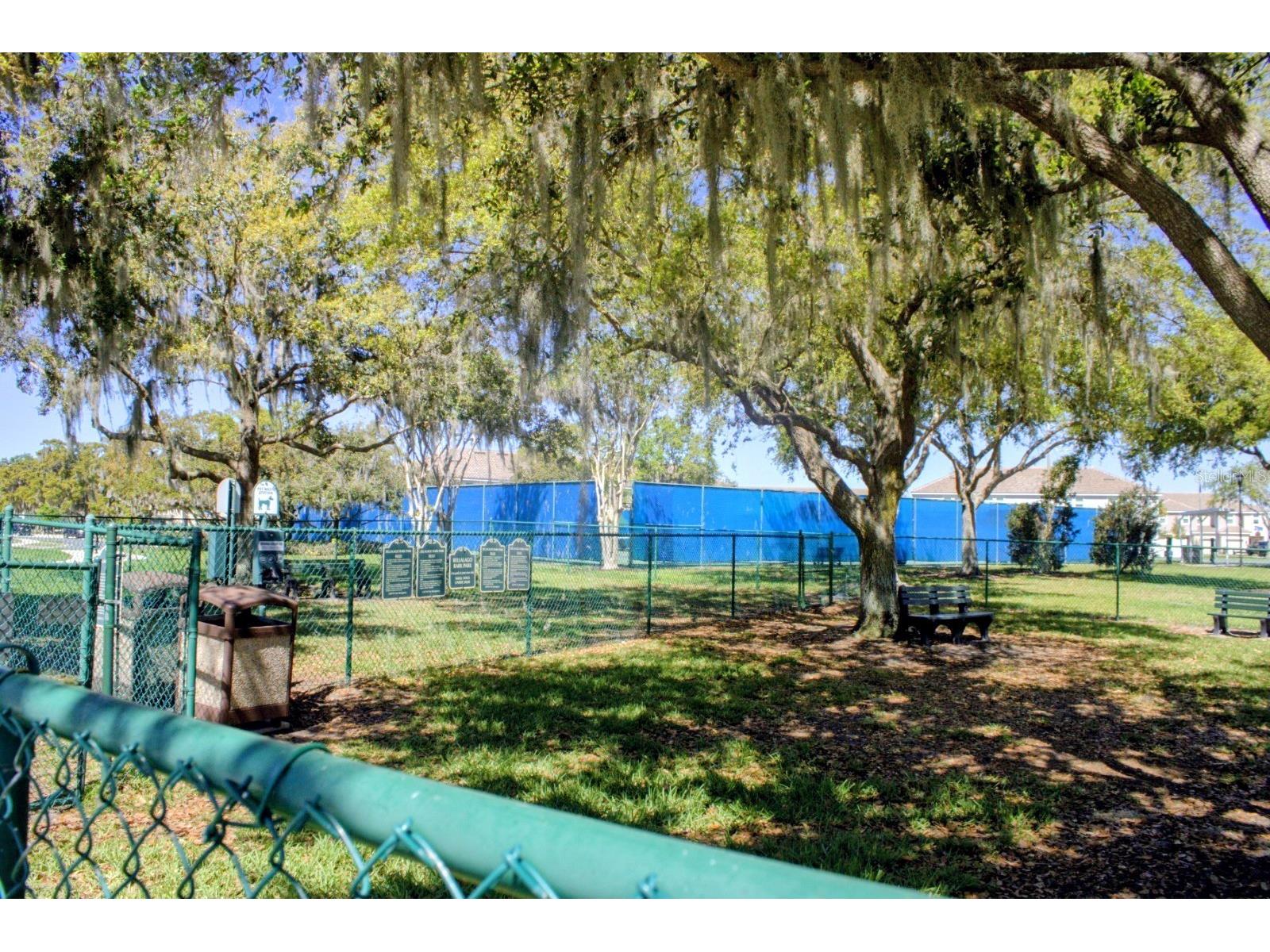 3958 Carrick Bend Drive Kissimmee FL 34746 O6388354 image35