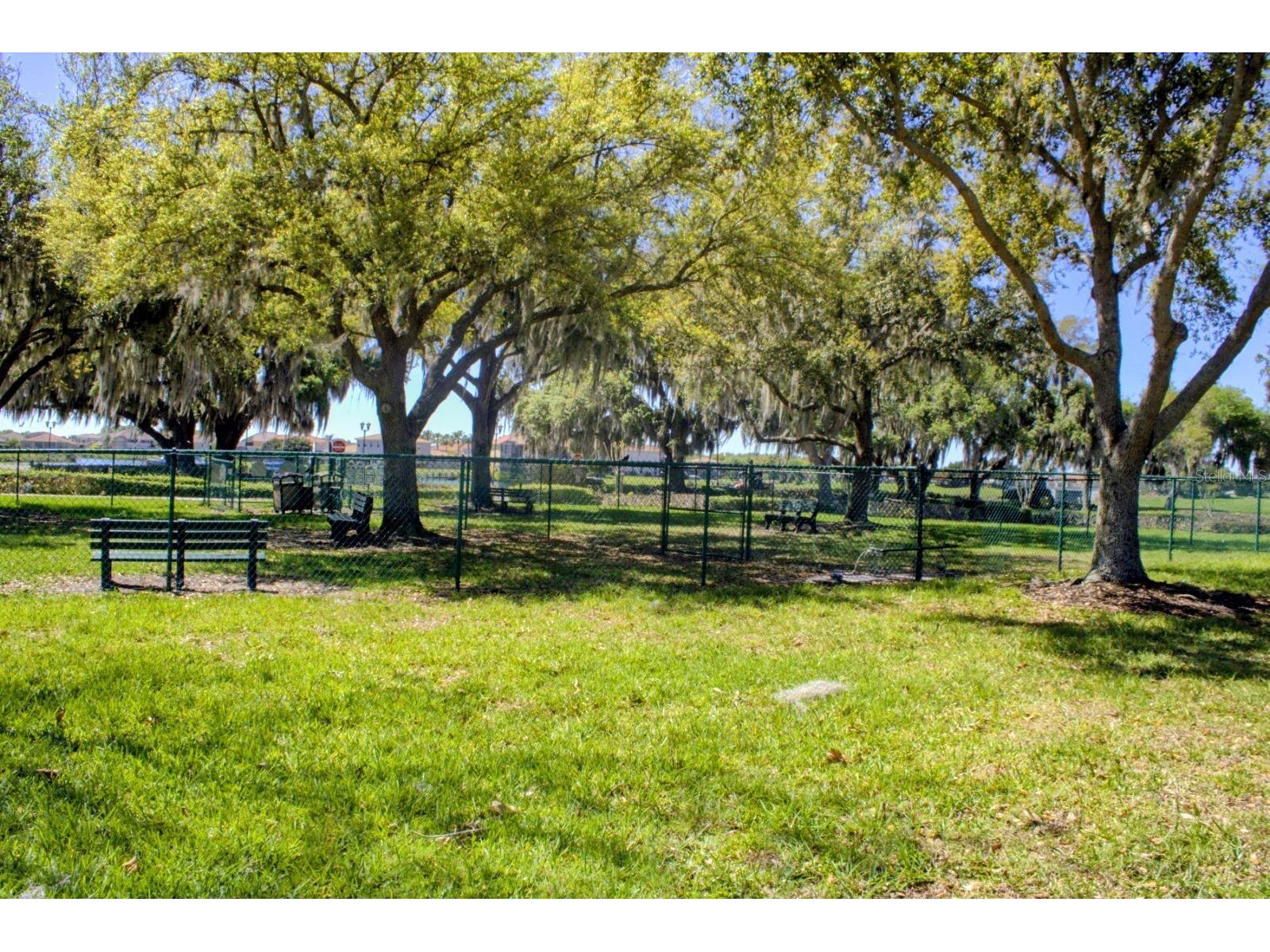 3958 Carrick Bend Drive Kissimmee FL 34746 O6388354 image36