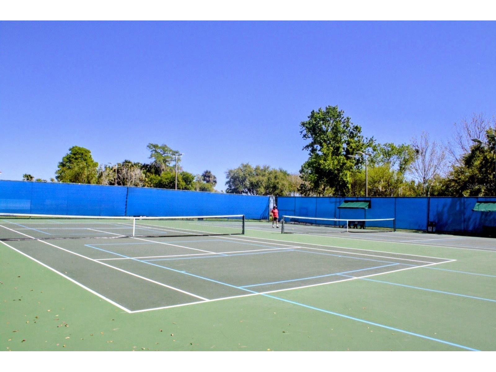 3958 Carrick Bend Drive Kissimmee FL 34746 O6388354 image45