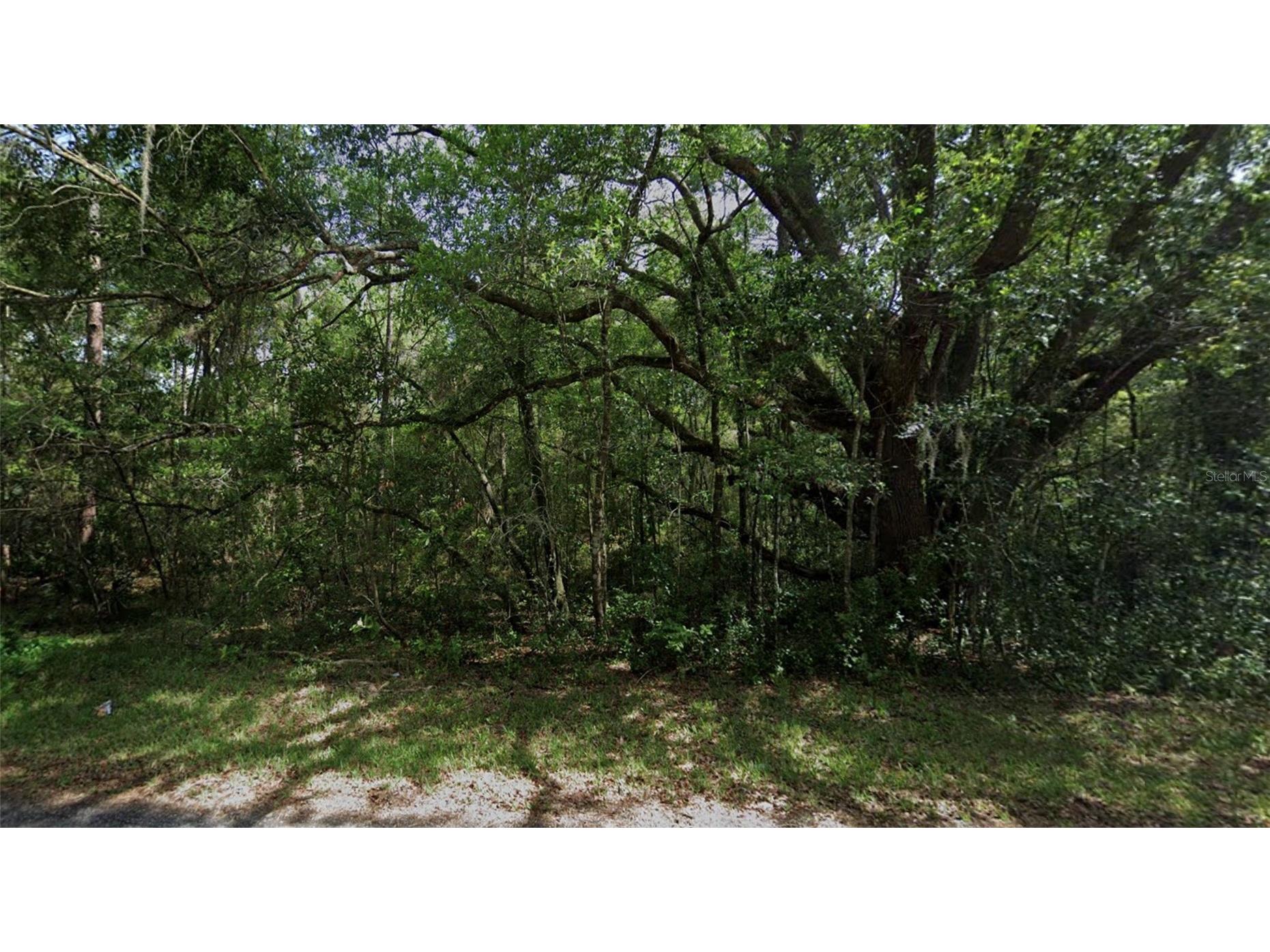 3958 E Ryan Street Inverness FL 34453 TB8499978 image3