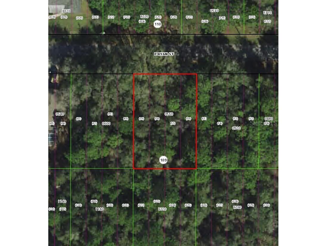 3958 E Ryan Street Inverness FL 34453 TB8499978 image4