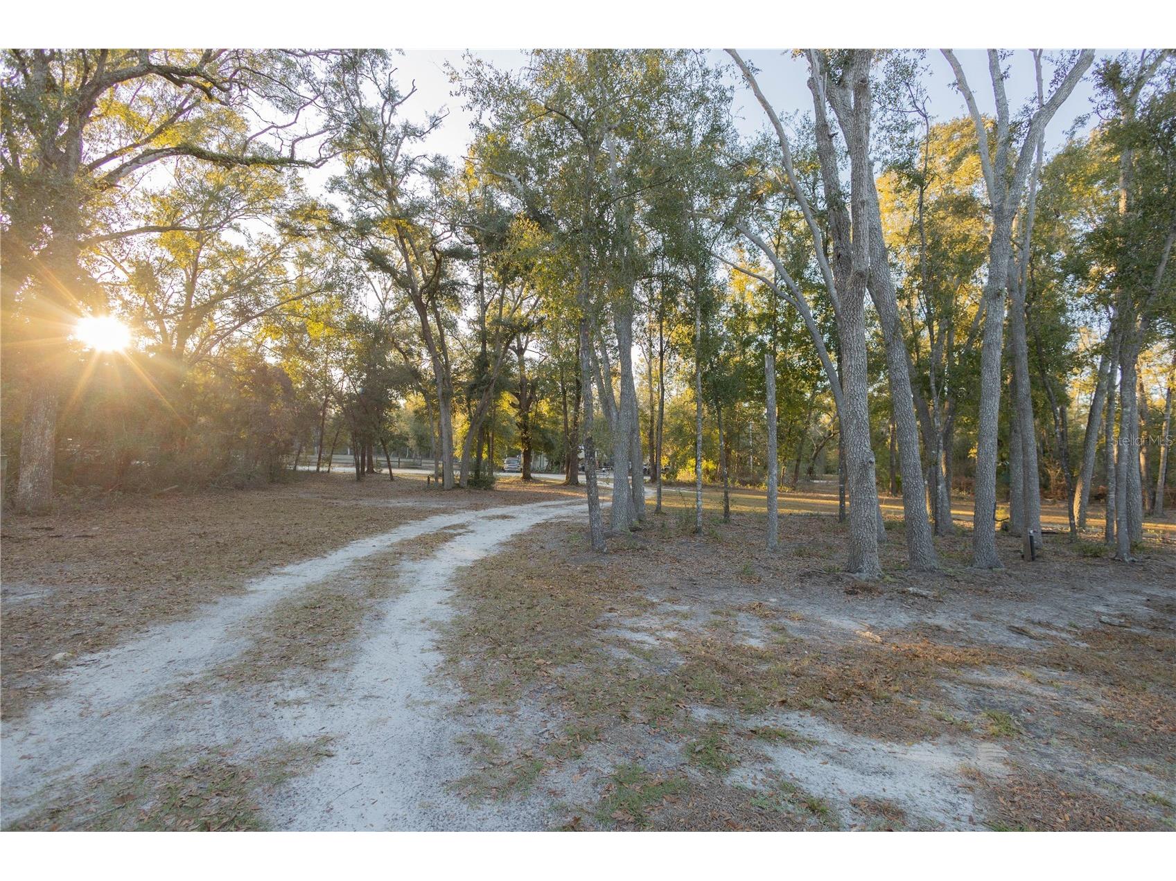 396 NE Beverly Hills Drive Mayo FL 32066 OM716834 image44